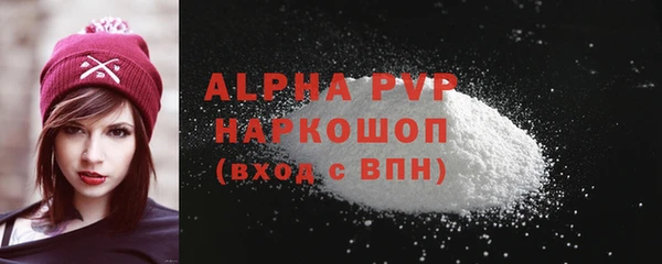 Альфа ПВП Белокуриха