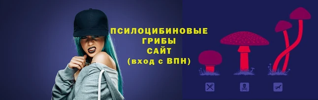 Альфа ПВП Белокуриха