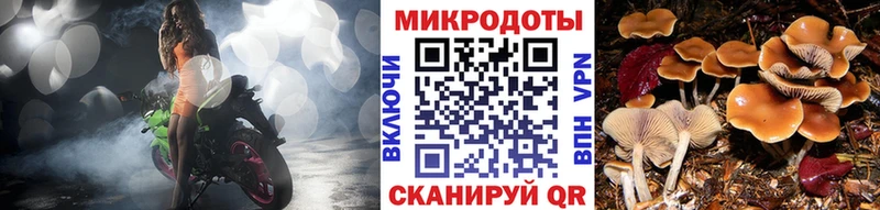 Псилоцибиновые грибы Psilocybine cubensis  Видное 
