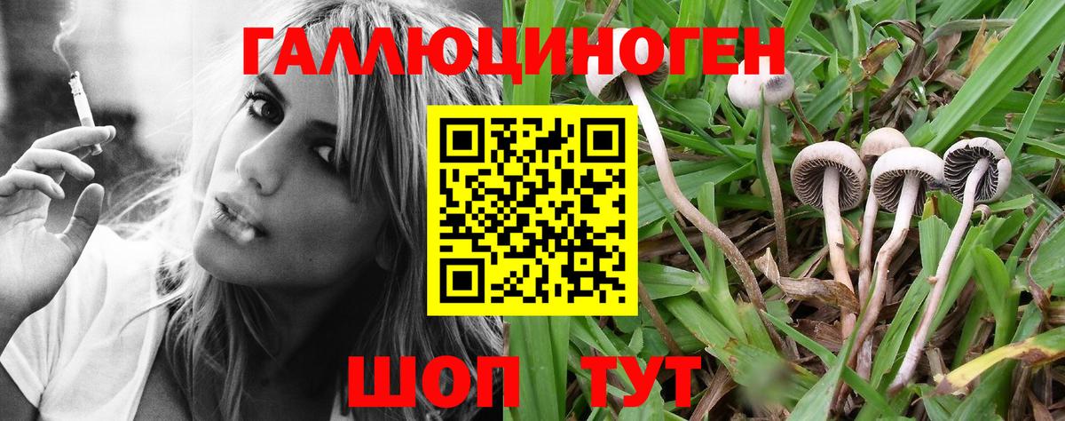 Псилоцибиновые грибы мухоморы Видное