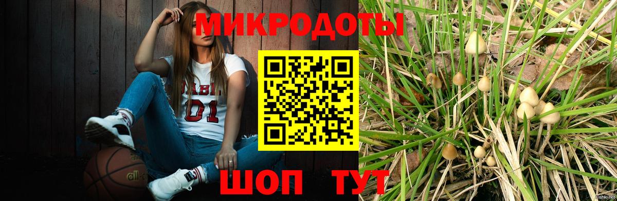 Псилоцибиновые грибы Cubensis  Вход с VPN  Видное  Галлюциногенные грибы мицелий 